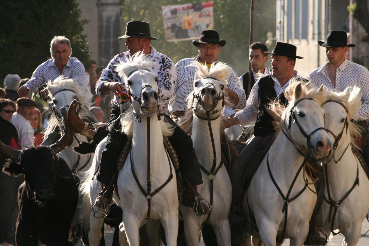 Gite De Vacances En Camargue ☆☆Nn 보베르 외부 사진